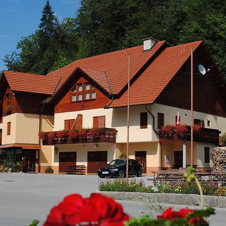 Hotel Pri Vidrgarju Vace Exterior foto